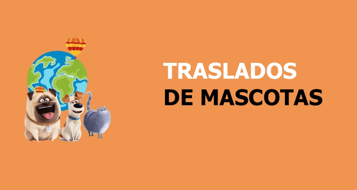 Traslado de mascotas en Segovia