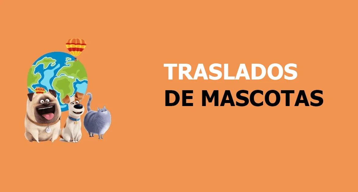 Traslado de mascotas en Segovia