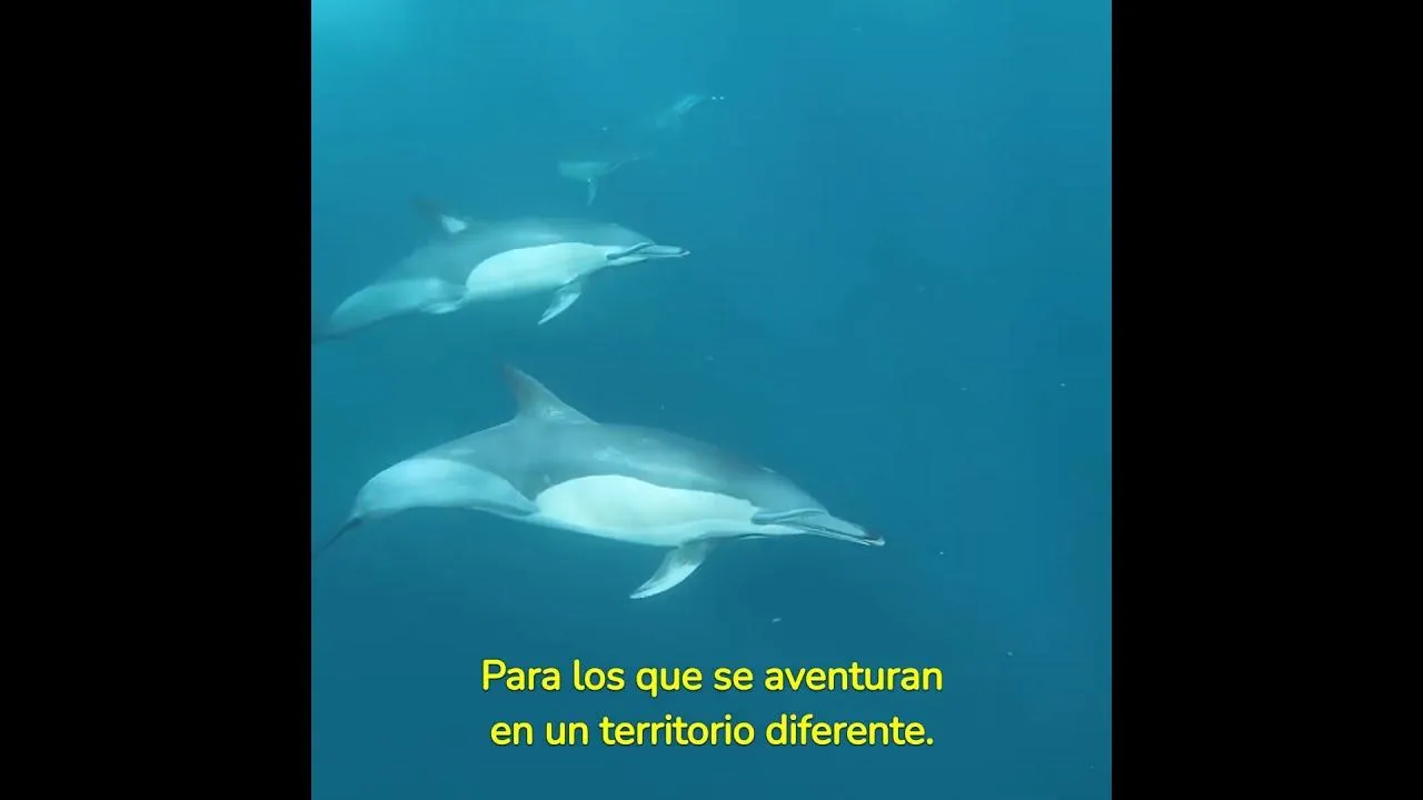 Sea cual sea tu instinto, te ayudamos a explorar el camino.