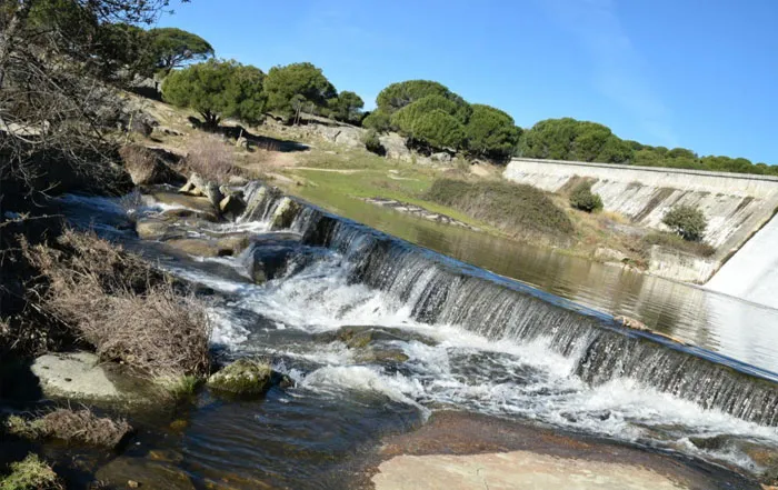 empresa mudanzas hoyo de pinares mejor precio